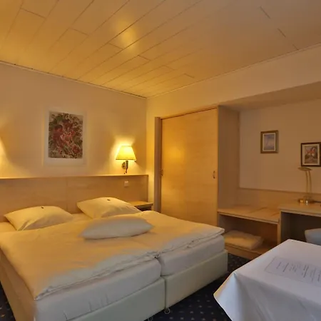 Отель Parkhotel 3*